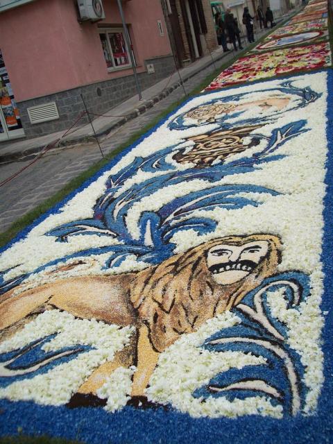 Infiorata 2011 Santo Stefano di Camastra 010.JPG