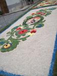 Infiorata 2011 Santo Stefano di Camastra 021.JPG