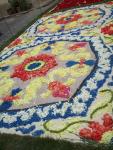 Infiorata 2011 Santo Stefano di Camastra 027.JPG