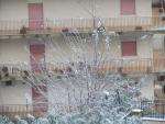 NEVE A SANTO STEFANO DI CAMASTRA 31 - 12 - 2014